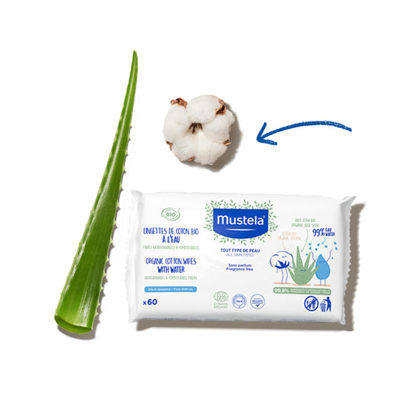 Organic Water Wipes Pack of 60 le b b